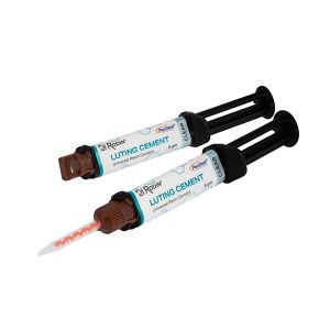 Mari's List Medidenta - 3D Printing - Resins - Rodin® Luting Cement Starter Kit / Luting Cement